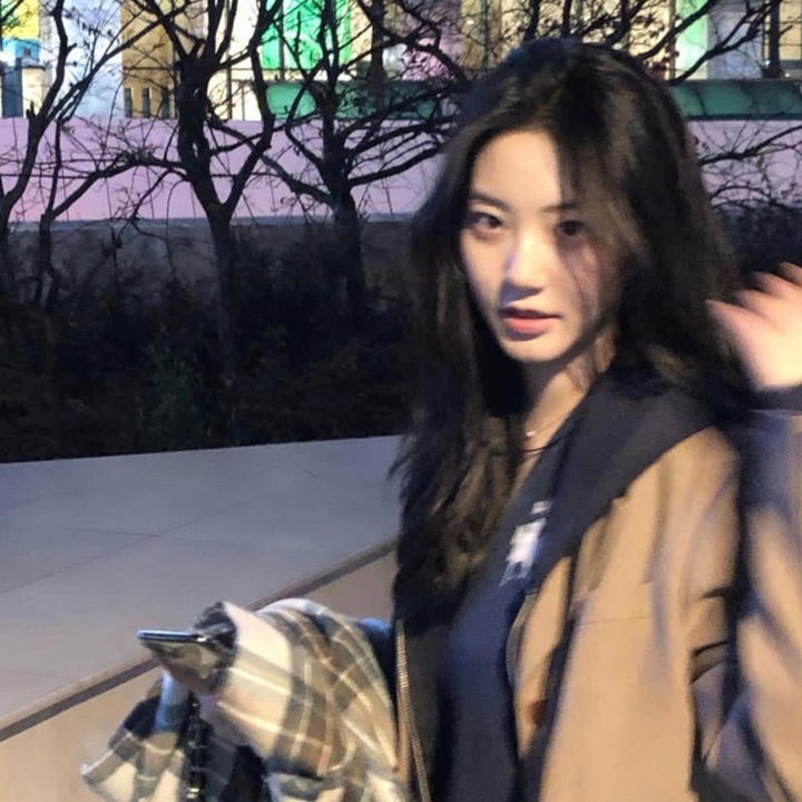 玩具熊的五夜后宫